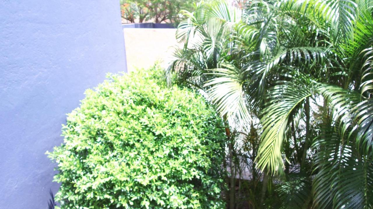 Santo Domingo Tehuantepec Hotel Calli מראה חיצוני תמונה